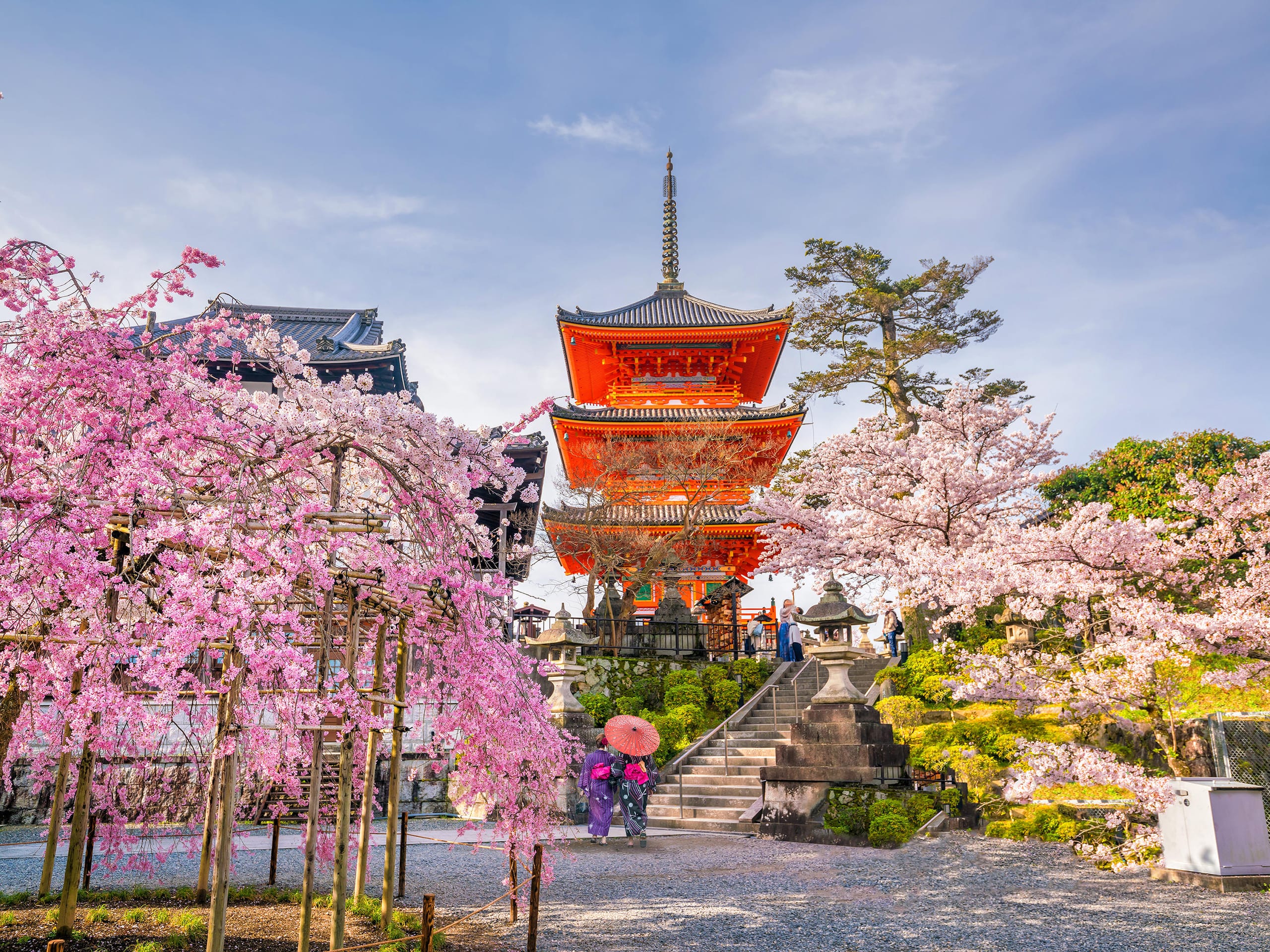 Kiyomizu-dera in Kyoto with weeping cherry blossoms in early spring